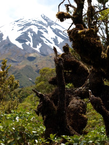 Mt Taranaki