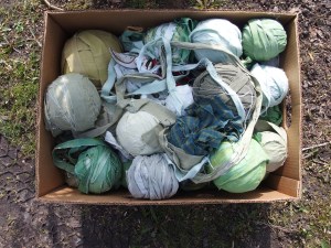 balls of died cotton strips